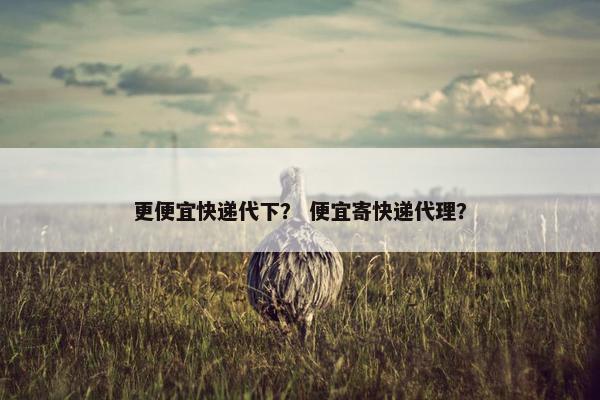 更便宜快递代下？ 便宜寄快递代理？