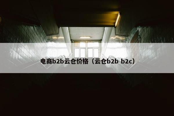 电商b2b云仓价格（云仓b2b b2c）