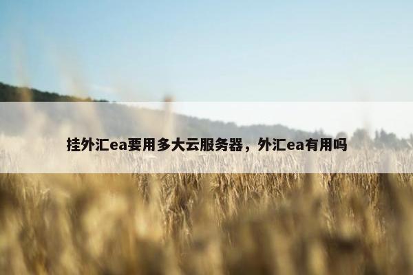 挂外汇ea要用多大云服务器，外汇ea有用吗
