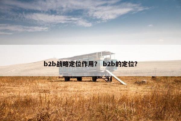 b2b战略定位作用？ b2b的定位？