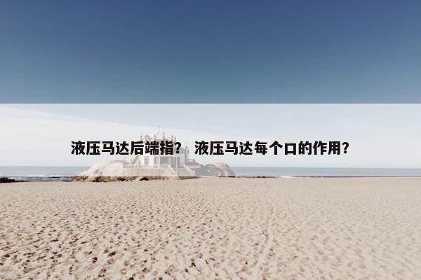 液压马达后端指？ 液压马达每个口的作用？