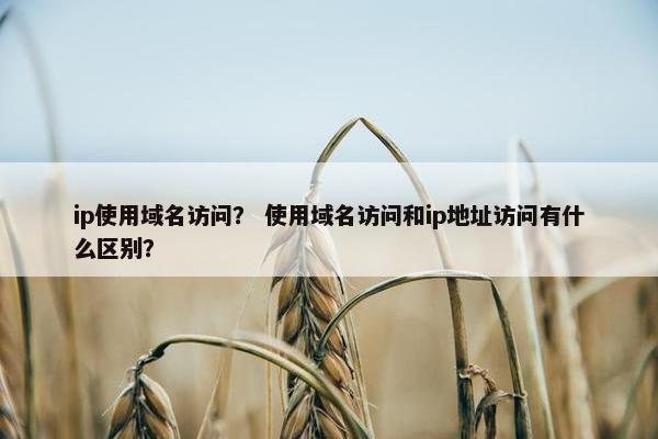 ip使用域名访问？ 使用域名访问和ip地址访问有什么区别？
