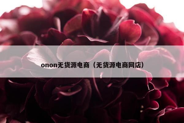 onon无货源电商（无货源电商网店）