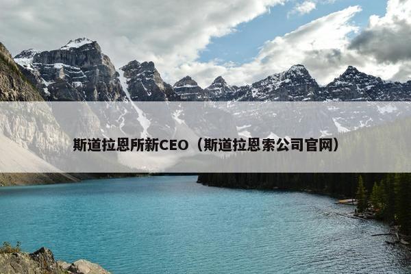 斯道拉恩所新CEO（斯道拉恩索公司官网）