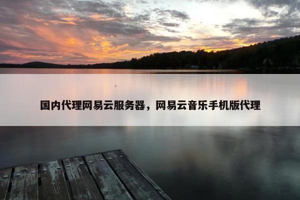 国内代理网易云服务器，网易云音乐手机版代理