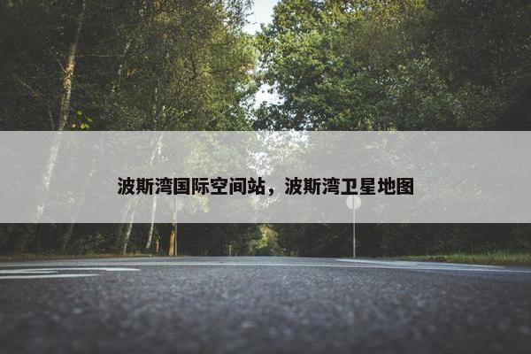 波斯湾国际空间站，波斯湾卫星地图