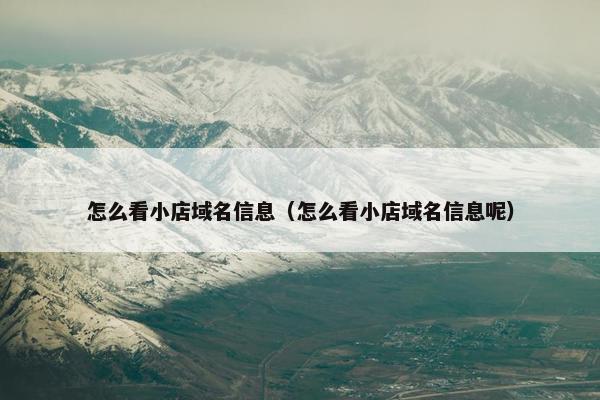 怎么看小店域名信息（怎么看小店域名信息呢）