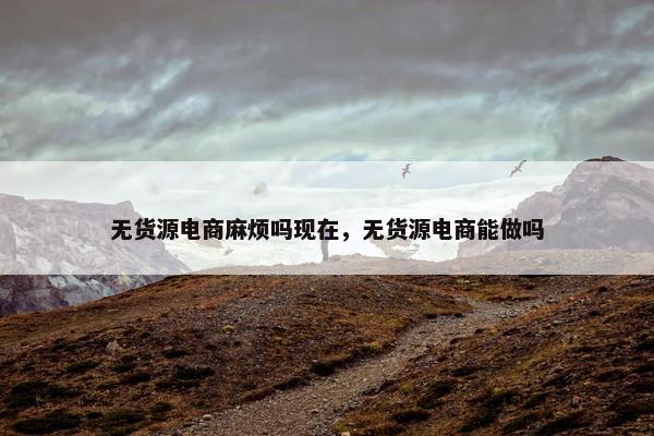 无货源电商麻烦吗现在，无货源电商能做吗
