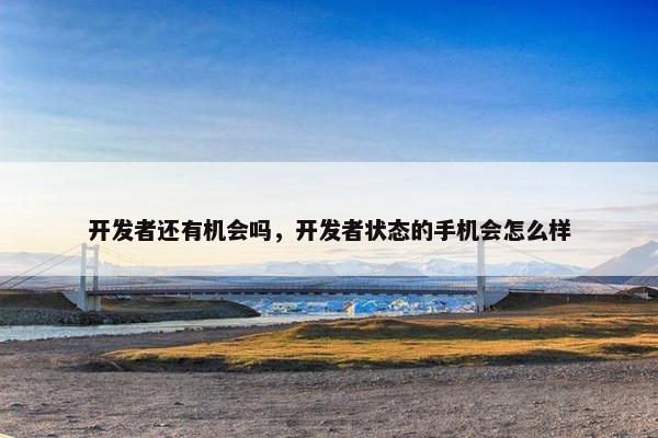 开发者还有机会吗，开发者状态的手机会怎么样