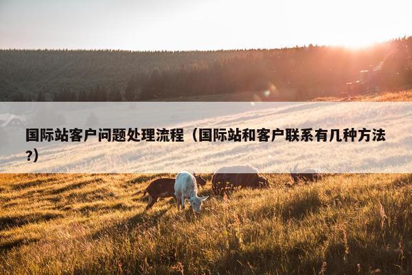 国际站客户问题处理流程（国际站和客户联系有几种方法?）