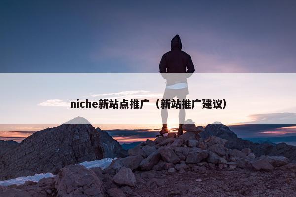 niche新站点推广（新站推广建议）