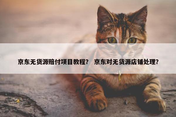 京东无货源赔付项目教程？ 京东对无货源店铺处理？