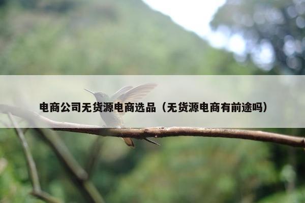 电商公司无货源电商选品（无货源电商有前途吗）