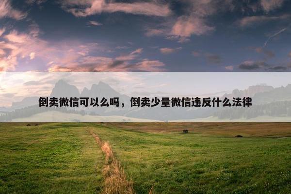 倒卖微信可以么吗，倒卖少量微信违反什么法律