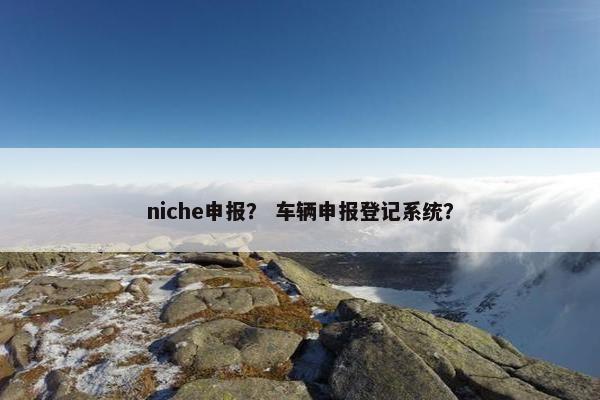 niche申报？ 车辆申报登记系统？