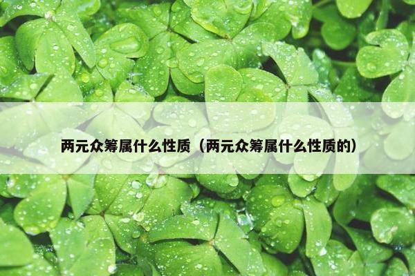 两元众筹属什么性质（两元众筹属什么性质的）