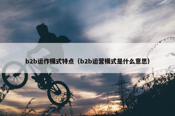 b2b运作模式特点（b2b运营模式是什么意思）