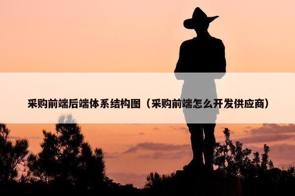 采购前端后端体系结构图（采购前端怎么开发供应商）