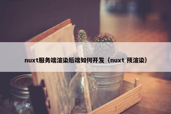 nuxt服务端渲染后端如何开发（nuxt 预渲染）