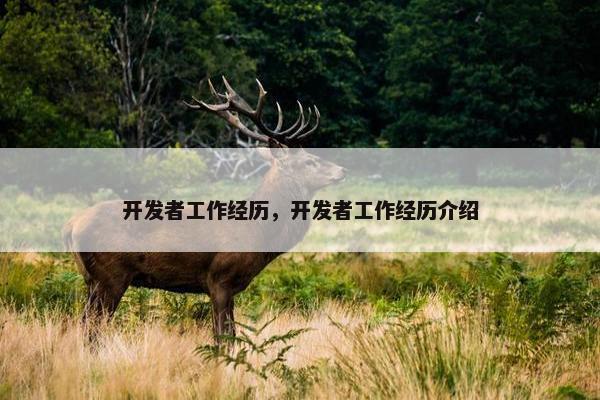 开发者工作经历，开发者工作经历介绍