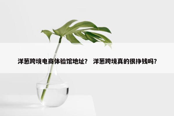 洋葱跨境电商体验馆地址？ 洋葱跨境真的很挣钱吗？