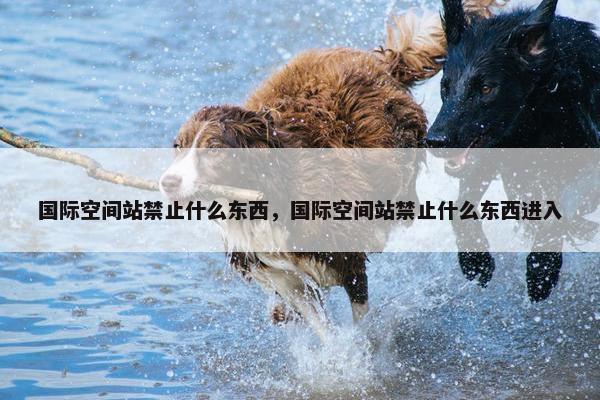 国际空间站禁止什么东西，国际空间站禁止什么东西进入
