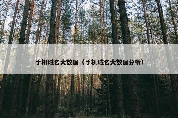 手机域名大数据（手机域名大数据分析）