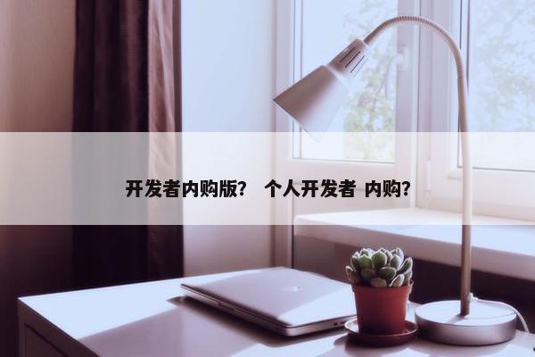 开发者内购版？ 个人开发者 内购？