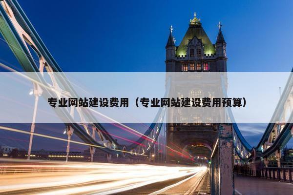 专业网站建设费用（专业网站建设费用预算）