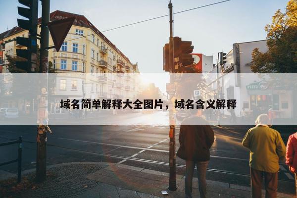 域名简单解释大全图片，域名含义解释
