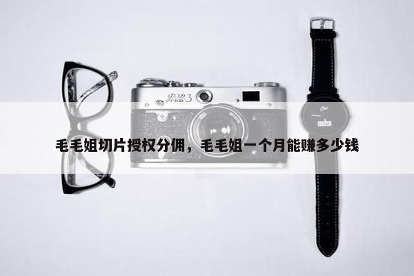 毛毛姐切片授权分佣，毛毛姐一个月能赚多少钱