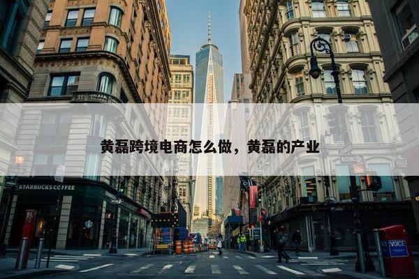 黄磊跨境电商怎么做，黄磊的产业