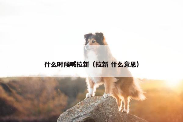 什么时候喊拉新（拉新 什么意思）