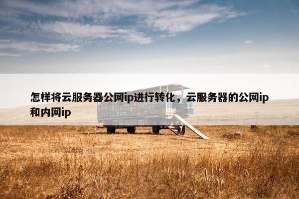 怎样将云服务器公网ip进行转化，云服务器的公网ip和内网ip
