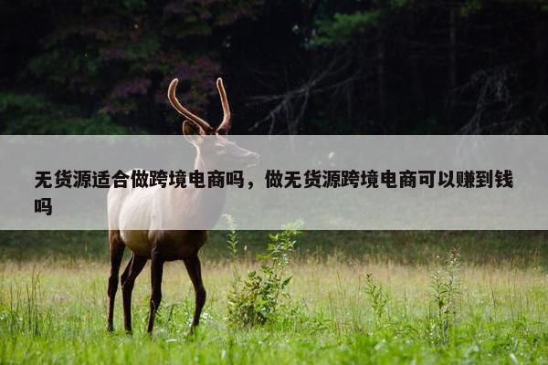 无货源适合做跨境电商吗，做无货源跨境电商可以赚到钱吗