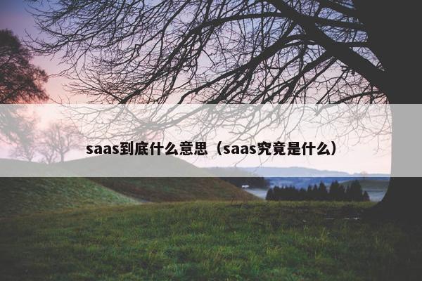 saas到底什么意思（saas究竟是什么）