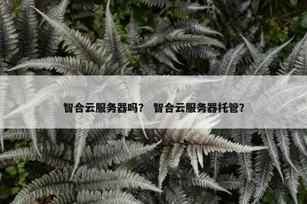 智合云服务器吗？ 智合云服务器托管？