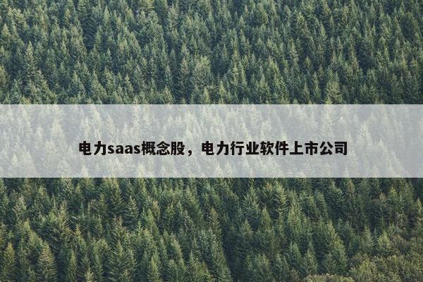 电力saas概念股，电力行业软件上市公司