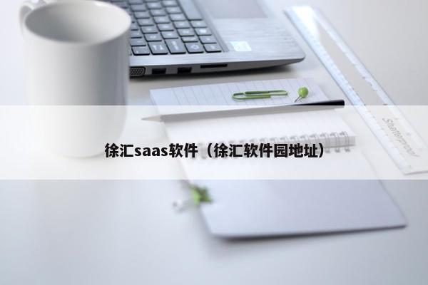 徐汇saas软件（徐汇软件园地址）