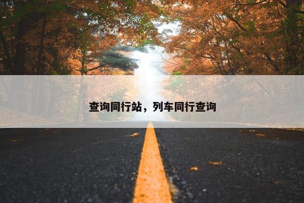查询同行站，列车同行查询