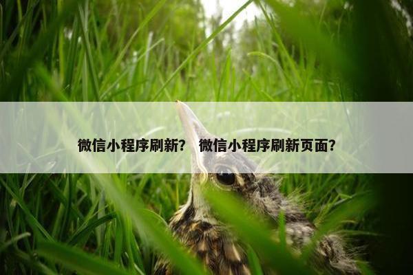 微信小程序刷新？ 微信小程序刷新页面？